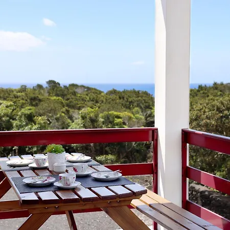 Vista Montanha * Madalena (Azores)