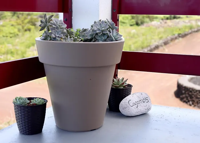 度假居 Vista Montanha 马达莱纳