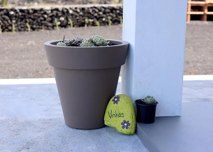 度假居 Vista Montanha 马达莱纳