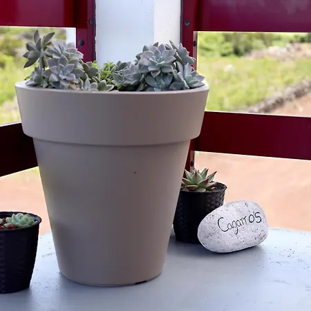 Semesterbostad Vista Montanha Madalena (Azores)