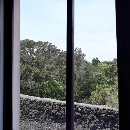 Semesterbostad Vista Montanha Madalena (Azores)