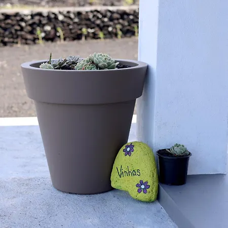 Semesterbostad Vista Montanha Madalena (Azores)
